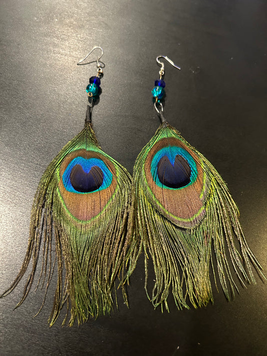 Peacock feather earrings